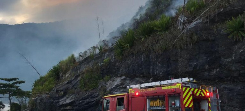 Força-tarefa do Estado aponta autores de incêndio que destruiu 45 mil m² de Mata Atlântica