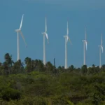 Moraes manda soltar réu do 8/1 após erro judicial