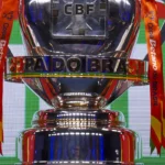 Saiba que sanções podem ser aplicadas a jovens que mataram cão Orelha