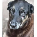 Educação de Itaboraí alinha diretrizes para 2026 com foco na Educação digital e Educação antirracista