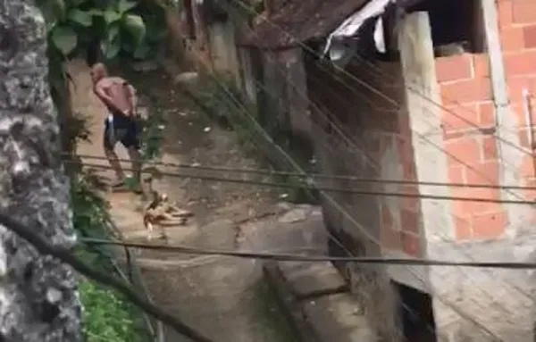 Homem é preso em Magé por matar o cachorro do vizinho por vingança; animal chegou a ser arrastado pela rua