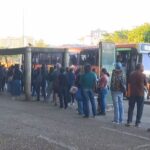 PM começa treinamento de 20 filhotes no Batalhão de Ações com Cães